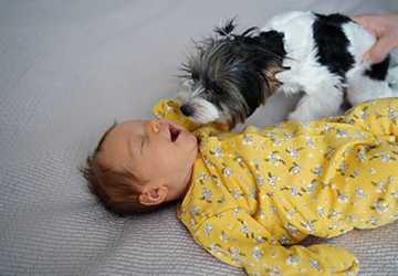 How to Introduce Pets to Your Newborn: Safety First
